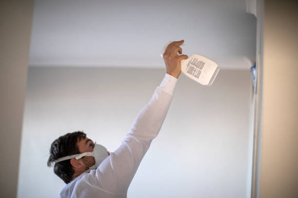 Best Health and Safety Mold Remediation in Edina, MN