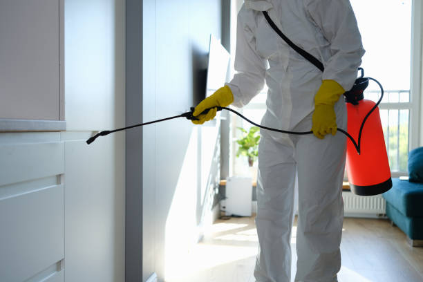 Best Residential Mold Remediation in Edina, MN